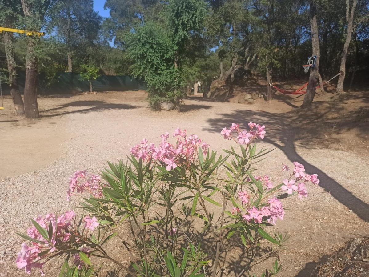 Bell-Lloc  Chalet En Entorno Natural De La Costa Brava מראה חיצוני תמונה