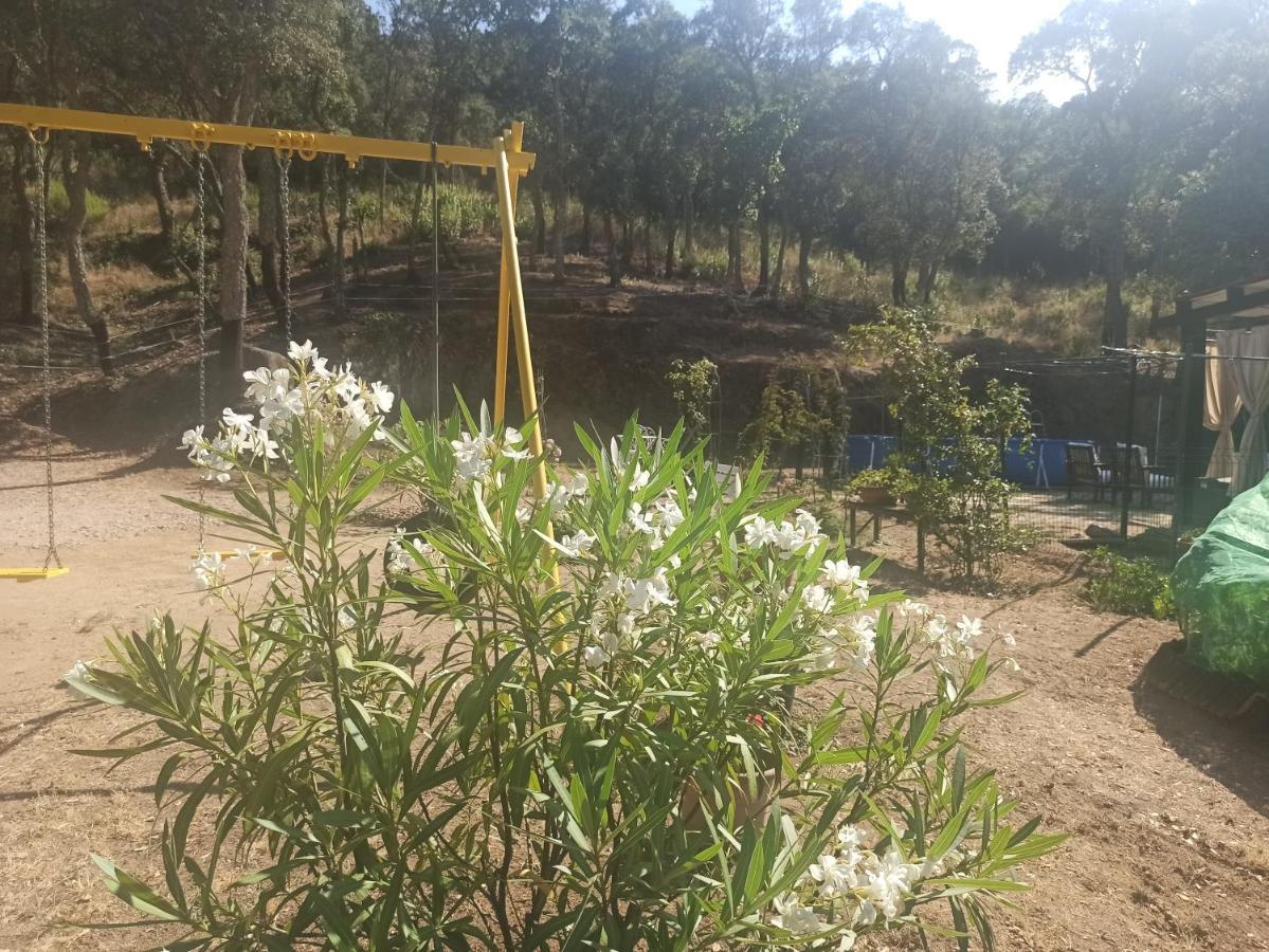 Bell-Lloc  Chalet En Entorno Natural De La Costa Brava מראה חיצוני תמונה