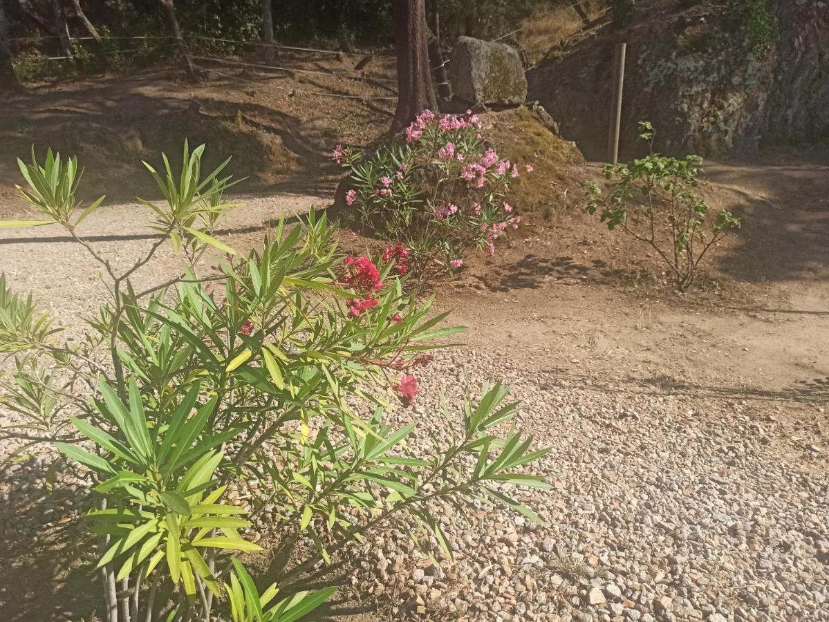 Bell-Lloc  Chalet En Entorno Natural De La Costa Brava מראה חיצוני תמונה